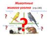 Животные живого уголка. Канарейка. Морская свинка. Волнистый попугайчик. Хомячок