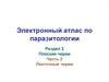 Электронный атлас по паразитологии. Раздел 2 Плоские черви. Часть 2 Ленточные черви