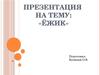 Ежи распространены повсеместно