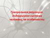 Гуморальная регуляция. Эндокринная система человека, ее особенности