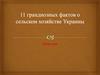 11 грандиозных фактов о сельском хозяйстве Украины