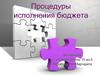 Процедуры исполнения бюджета