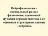 Нейрофизиология