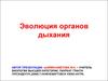 Эволюция органов дыхания