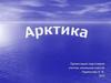 Арктика. Животный и растительный мир Арктики