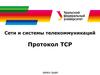 Сети и системы телекоммуникаций. Протокол TCP