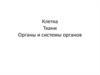 Клетка. Ткани. Органы и системы органов