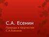 Природа в творчестве С.А.Есенина