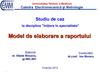 Model de elaborare a raportului