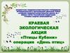 Краевая экологическая акция «Птицы Кубани»