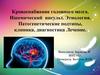 Кровоснабжение головного мозга. Ишемический инсульт. Этиология. Патогенетические подтипы, клиника, диагностика. Лечение