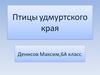 Птицы удмуртского края
