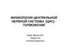 Физиология центральной нервной системы (цнс): торможение