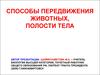 Способы передвижения животных, полости тела