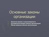Теория организации. Законы организации