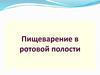 Пищеварение в ротовой полости