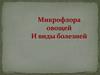Микрофлора овощей и виды болезней