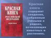 Красная книга. Животные и растения, которые находятся на грани вымирания