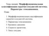 Морфофункциональная классификация сердечно-сосудистой системы. Параметры гемодинамики