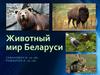 Животный мир Беларуси