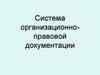 Система организационно-правовой документации