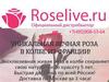 Компания Roselive приглашает к сотрудничеству