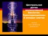 Центральная догма молекулярной биологии. Транскрипционный аппарат клетки