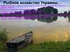 Рыбное хозяйство Украины