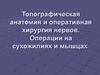 Топографическая анатомия и оперативная хирургия нервов. (Лекция 5)