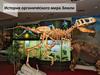 История органического мира земли