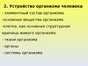 Устройство организма человека