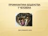 Профилактика бешенства у человека