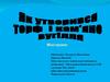 Як утворився торф і кам’яне вугілля. Міні-проект