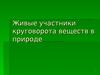 Живые участники круговорота веществ в природе