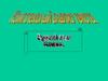 Комплексный анализ текста. (6 класс)