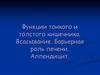 Функции тонкого и толстого кишечника. Всасывание. Барьерная роль печени. Аппендицит