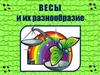 Весы и их разнообразие