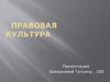 Правовая культура. (Парагаф 16)