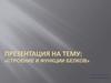 Строение и финкции белков