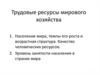 Трудовые ресурсы мирового хозяйства