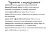 Термины и определения