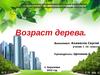 Возраст дерева (1 класс)