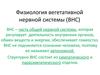 Физиология вегетативной нервной системы (ВНС)