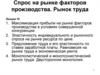 Спрос на рынке факторов производства. Рынок труда. (Лекция 15)