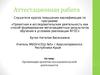 Аттестационная работа. Организация проектно-исследовательской деятельности