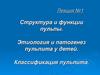Структура и функции пульпы. Этиология и патогенез пульпита у детей. Классификация пульпита. Лекция 1