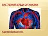 Внутренняя среда организма. Кровообращение