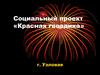 Социальный проект «Красная гвоздика»