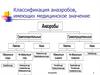Классификация анаэробов, имеющих медицинское значение