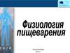 Физиология пищеварения